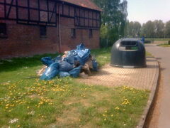 Stadtputztag 2009 - Bild 3