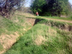 Stadtputztag 2009 - Bild 2