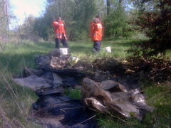 Stadtputztag 2009 - Bild 1